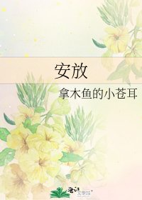 安放